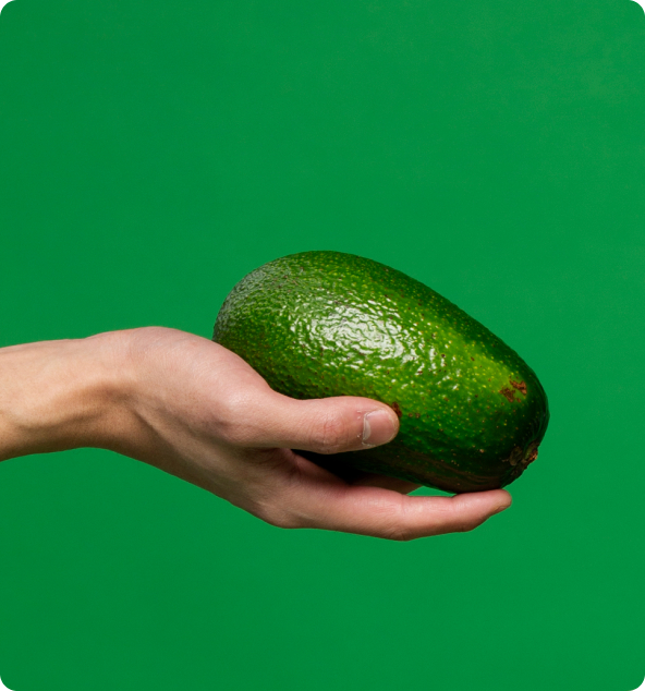 avocado_second