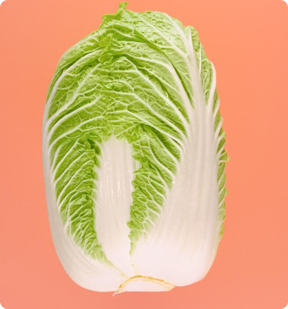 cabbage_third